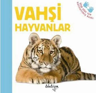 Vahşi Hayvanlar - Kolektif  - Koleksiyon Yayınevi