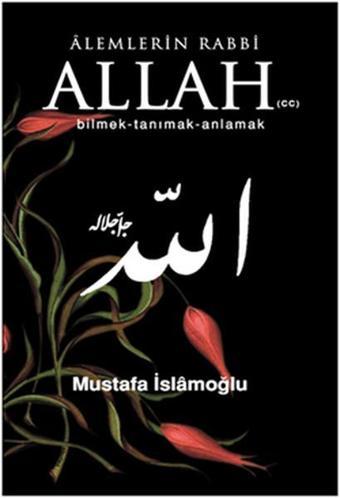 Alemlerin Rabbi Allah (CC) Bilmek Tanımak Anlamak - Mustafa İslamoğlu - Düşün Yayınları