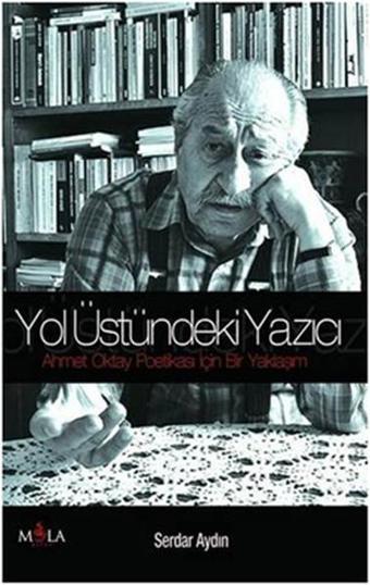 Yol Üstündeki Yazıcı - Serdar Aydın - Mola Kitap