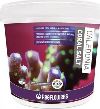 ReeFlowers Caledonia Reef Coral Salt Akvaryum Deniz Tuzu 22,5 Kg