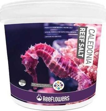 ReeFlowers Caledonia Reef Salt Akvaryum Deniz Tuzu 22,5 Kg