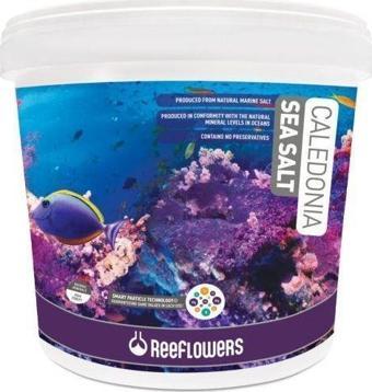 ReeFlowers Caledonia Sea Salt Akvaryum Deniz Tuzu 6500 Gr