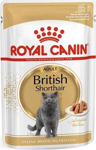 Royal Canin British Shorthair Kedi Konservesi 85 gr