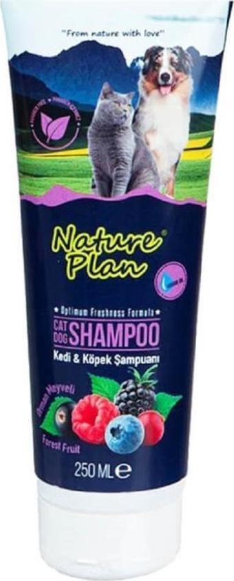 Nature Plan Tüp Şampuan Orman Meyvalı 250 Ml