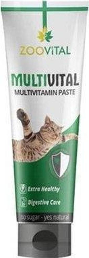 Zoovital 13 Effects Multivitamin Kedi Macun Paste 100 Gr