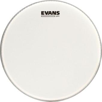 Evans Bd16Uv1 16 "Uv1 Kaplı Bas Davul Derisi