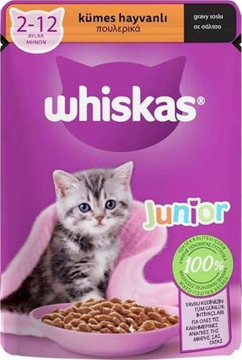 Whiskas Pouch Tavuklu Yavru Kedi Maması 85 gr