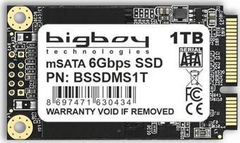 Bigboy 1TB mSata Sata3 Notebook SSD