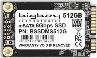 Bigboy 512GB mSata Sata3 Notebook SSD