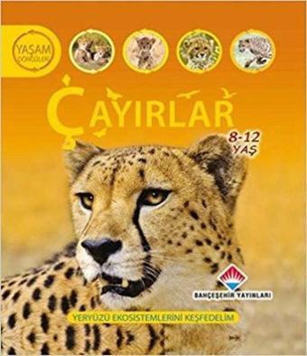 Çayırlar - Sean Callery - Bahçeşehir Yayınları