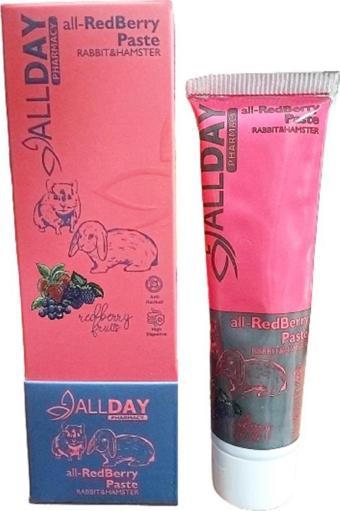 AllDay All Redberry Tavşan Hamster Multivitamin Paste 100gr