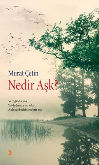 Nedir Aşk? - Murat Çetin - Cinius Yayınevi