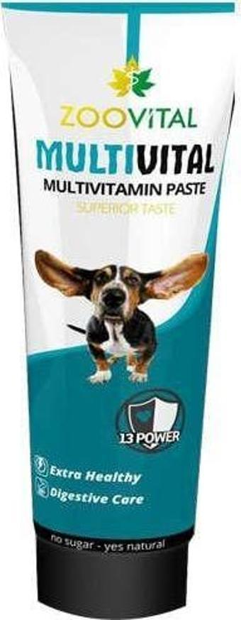 Zoovital Multivital Köpek Multivitamin Macunu 100gr