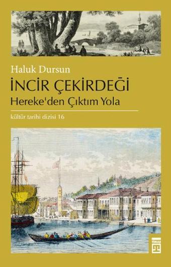 İncir Çekirdeği - Haluk Dursun - Timaş Yayınları