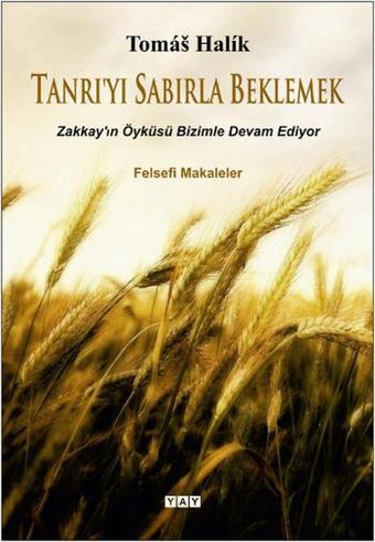 Tanrı'yı Sabırla Beklemek - Tomas Halik - Yeni Anadolu Yayınları