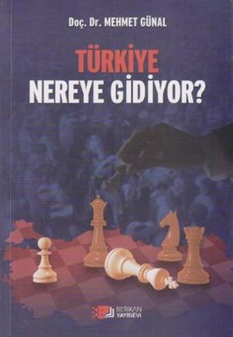 Türkiye Nereye Gidiyor? - Mehmet Günal - Berikan Yayınevi