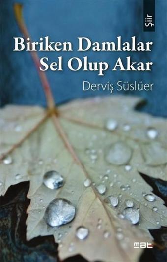 Biriken Damlalar Sel Olup Akar - Derviş Süslüer - Mat Kitap