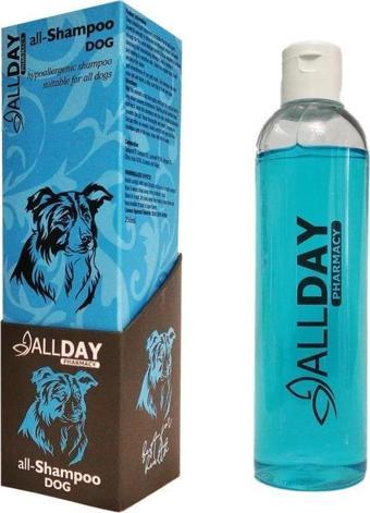 Allday All-Shampoo Dog Hypoallrgenic Köpek Şampuan 250 Ml