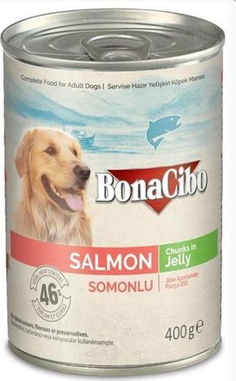 Bonacibo Jöleli Somonlu Yaş Yetişkin Köpek Maması 400 GR