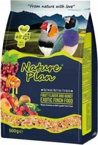 Nature Plan Meyve Aromalı Ballı Egzotik Finch Yemi 500 gr