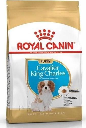 Royal Canin Junior Cavalier King Charles Yavru Köpek Maması 1,5 Kg