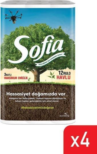 Sofia Kağıt Havlu 3 Katlı 12'li 4'lü Paket