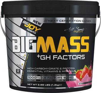 Bigjoy Big Mass Gh Factors 1,2 Kg Çilekli Gainer