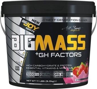Bigjoy Big Mass Gh Factors 5000 gr Çilek Aromalı