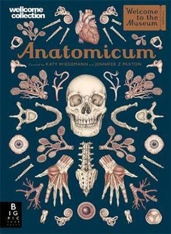 Anatomicum (Welcome To The Museum) - Jennifer Z Paxton - Kings Road Publishing