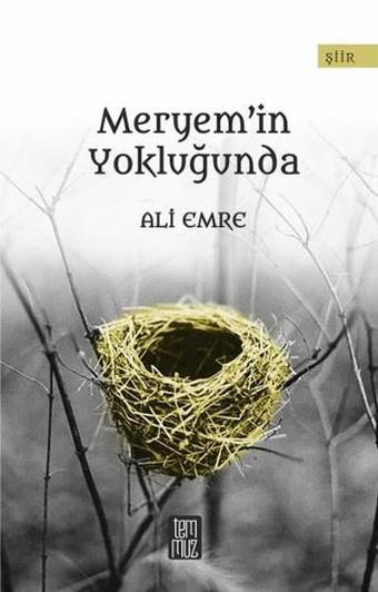 Meryem'in Yokluğunda - Ali Emre - Temmuz