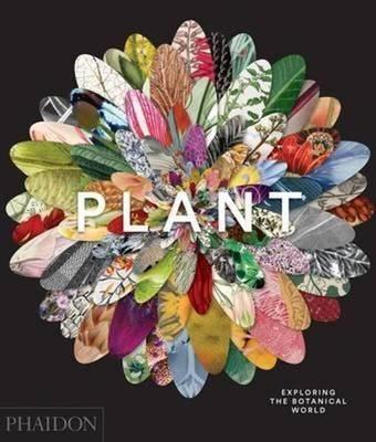 Plant - Phaidon