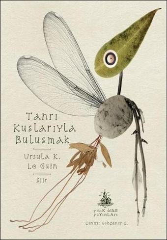 Tanrı Kuşlarıyla Buluşmak - Yitik Ülke Yayınları