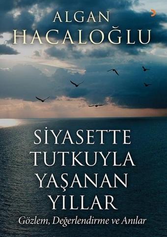 Siyasette Tutkuyla Yaşanan Yıllar - Cinius Yayınevi