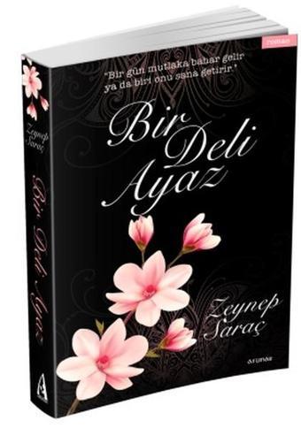 Bir Deli Ayaz - Zeynep Saraç - Arunas Yayıncılık