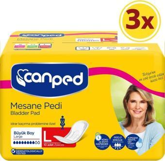 Canped Mesane Pedi Büyük Boy Large 10 Lu X 3 Adet