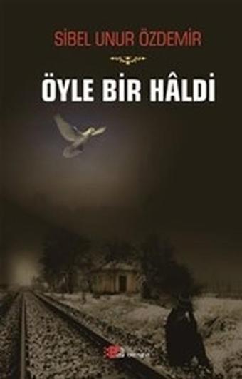 Öyle Bir Haldi - Sibel Unur Özdemir - Berikan Yayınevi