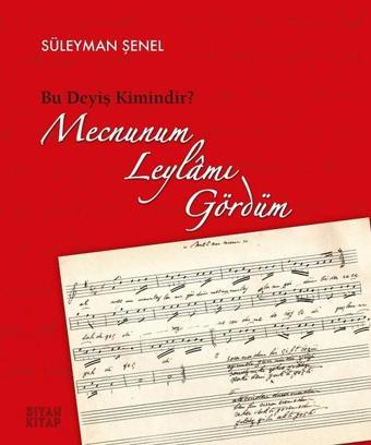 Mecnunum Leylamı Gördüm - Süleyman Şenel - Siyah Kitap