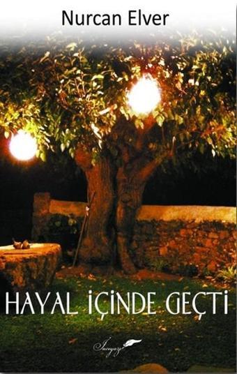 Hayal İçinde Geçti - Nurcan Elver - İnceyazı