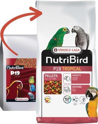 Versele Laga 1 kg Nutribird P19 Tropical Papağan Pelet Yem  