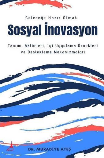 Sosyal İnovasyon - Muradiye Ateş - Alter Yayınları