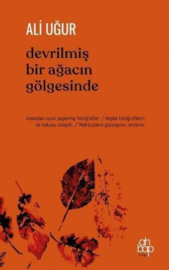 Devrilmiş Bir Ağacın Gölgesinde - Ali Uğur - Ahbap Kitap