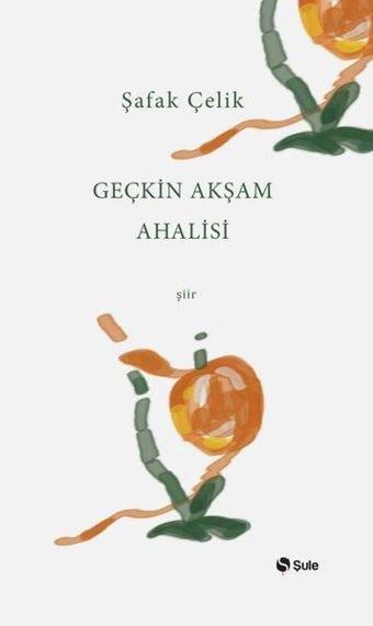 Geçkin Akşam Ahalisi - Şafak Çelik - Şule Yayınları