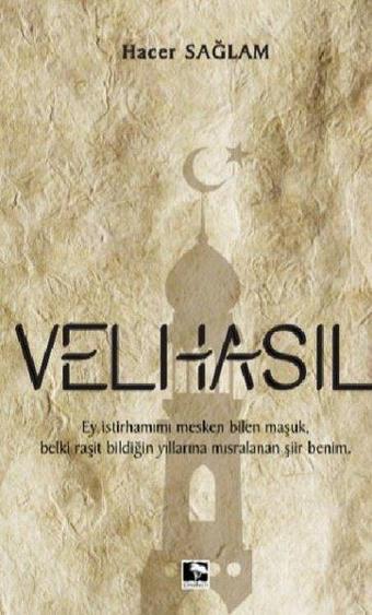 Velhasıl - Hacer Sağlam - Çınaraltı Yayınları