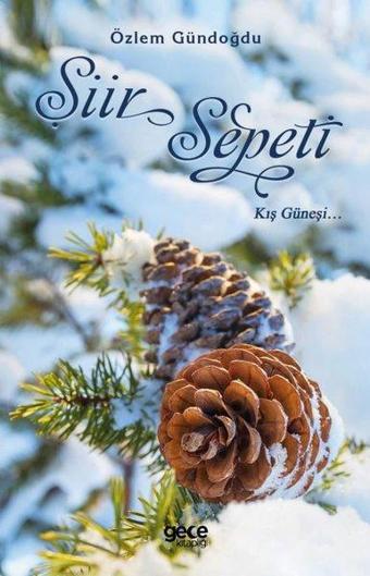 Şiir Sepeti 5 - Kış Güneşi - Özlem Gündoğdu - Gece Kitaplığı