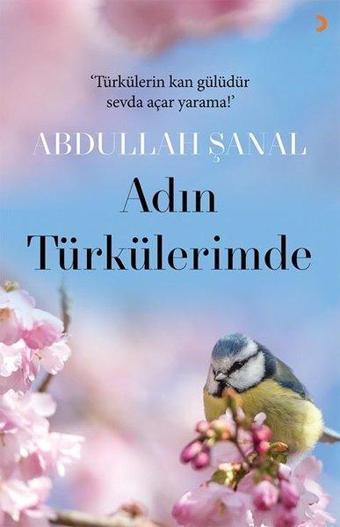 Adın Türkülerimde - Abdullah Şanal - Cinius Yayınevi
