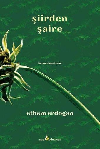 Şiirden Şaire - Ethem Erdoğan - Çıra Yayınları