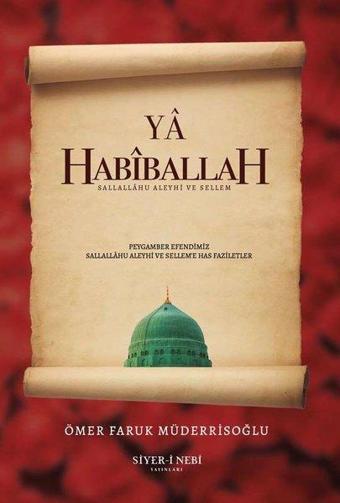 Ya Habiballah - Ömer Faruk Müderrisoğlu - Siyer-i Nebi Yayınları