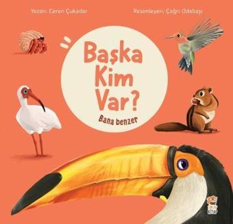 Başka Kim Var? Bana Benzer - Ceren Çukadar - Sincap Kitap