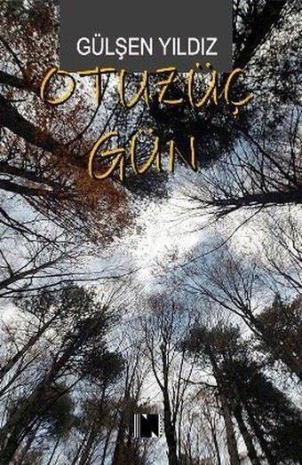 Otuzüç Gün - Gülşen Yıldız - Nitelik Kitap