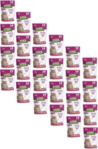 Jungle 24 Adet 100 gr Kısır Kedi Biftekli Jel Mama 